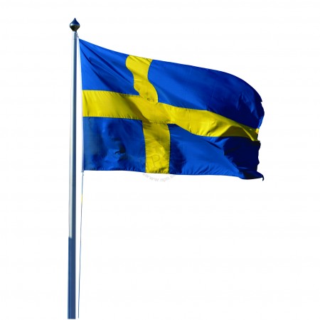 Flaggstång Nordic 10M 